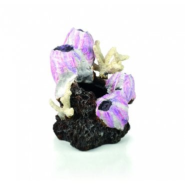 Barnacle ornament S pink