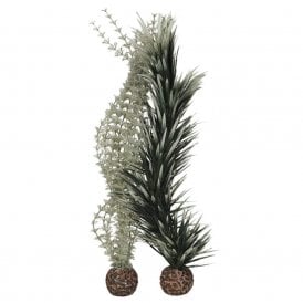 biOrb ambulia grey/green L