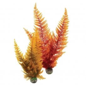 biOrb Aquatic autumn fern set 2
