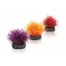 biOrb Aquatic colour ball set 3