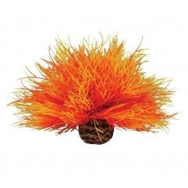 biOrb Aquatic sea lily flame