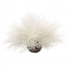 biOrb Aquatic sea lily white