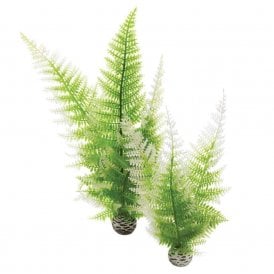 biOrb Aquatic winter fern set 2