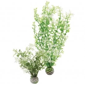 biOrb Aquatic winter flower set 2