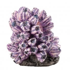 biOrb barnacle cluster ornament
