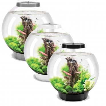 biOrb CLASSIC 30 Aquarium with Multi Colour LED Light