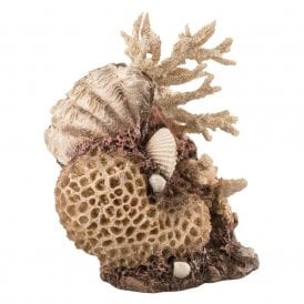 biOrb coral-shells ornament natural