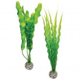 biOrb Easy plant set M green