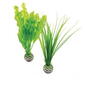 biOrb Easy plant set S green
