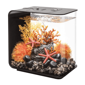 Acquario BiOrb Tubo 30 LED Nero: Completo Di Illuminazione, Filtro E Pompa - Pronto All'uso!