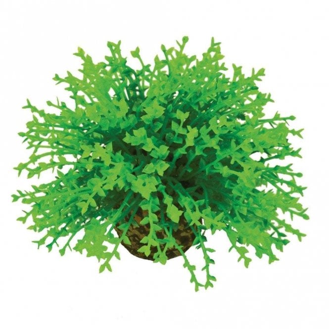 Oase - biOrb biOrb Flower ball green