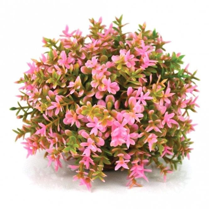 Oase - biOrb biOrb Flower ball pink