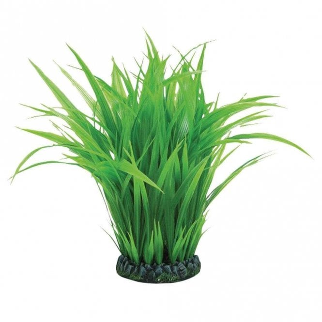 Oase - biOrb biOrb Grass ring L green