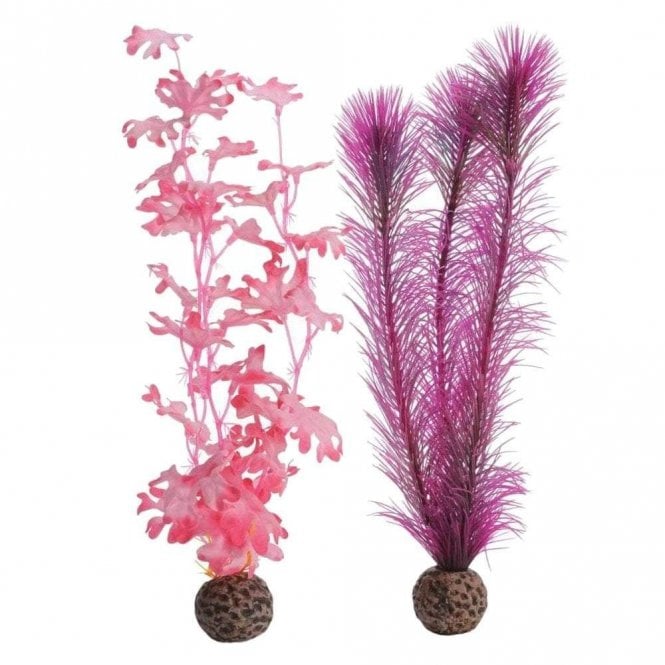 Oase - biOrb biOrb Kelp set M pink