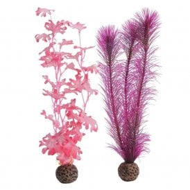 biOrb Kelp set M pink