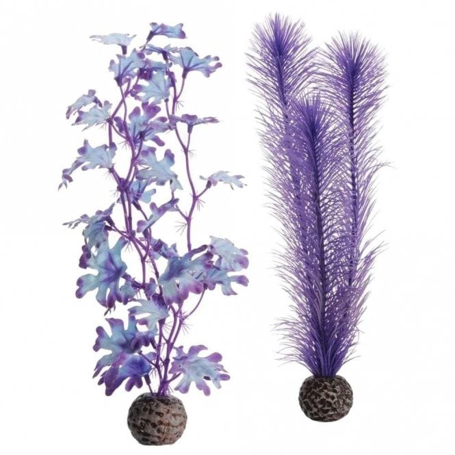 Oase - biOrb biOrb Kelp set M purple