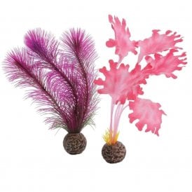 biOrb Kelp set S pink