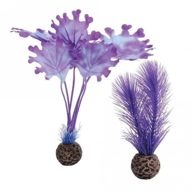 Oase - biOrb biOrb Kelp set S purple