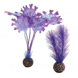 biOrb Kelp set S purple