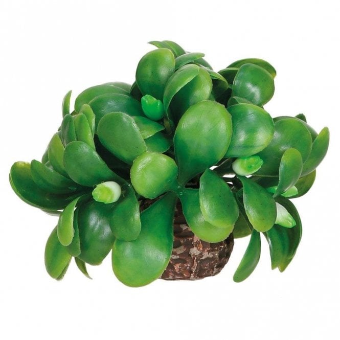 Oase - biOrb biOrb mistletoe ball