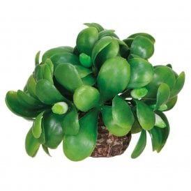 biOrb mistletoe ball