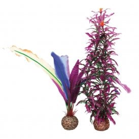 biOrb parrots feather S