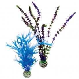 biOrb Plant set M blue & purple
