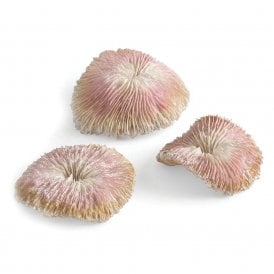 biOrb plate coral set