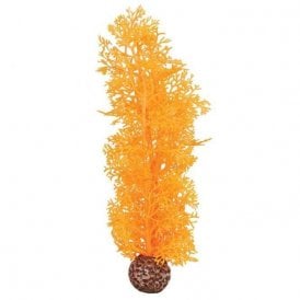 biOrb Sea fan M orange