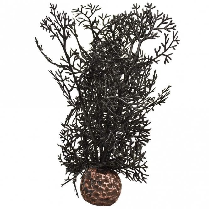 Oase - biOrb biOrb Sea fan S black