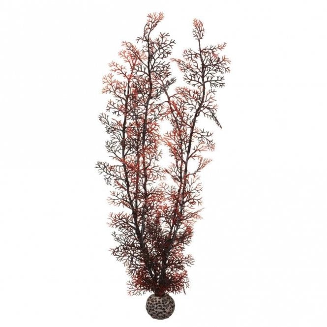 Oase - biOrb biOrb Sea fan XL crimson