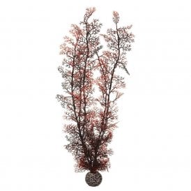 biOrb Sea fan XL crimson