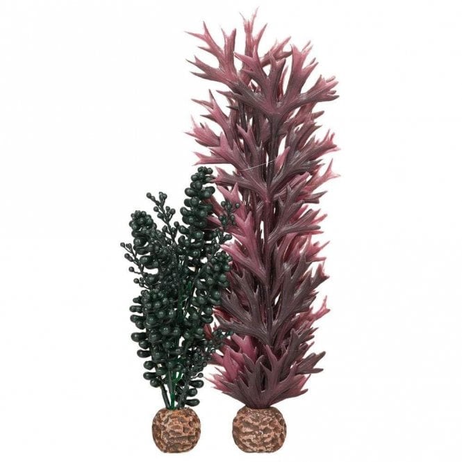 Oase - biOrb biOrb sea pearls & kelp dark green