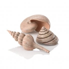 biOrb Sea shell set 3 natural