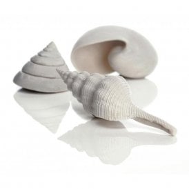 biOrb Sea shell set 3 white