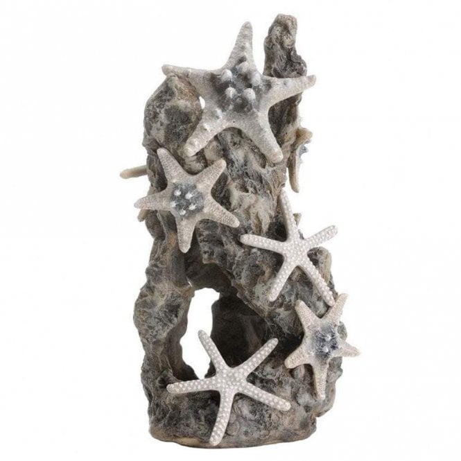 Oase - biOrb biOrb Sea star rock ornament