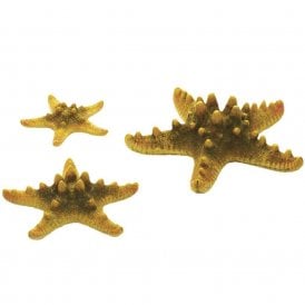 biOrb Sea Star set 3 yellow