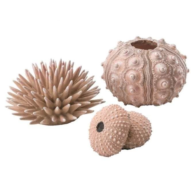 Oase - biOrb biOrb sea urchins set natural