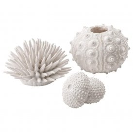 biOrb sea urchins set white