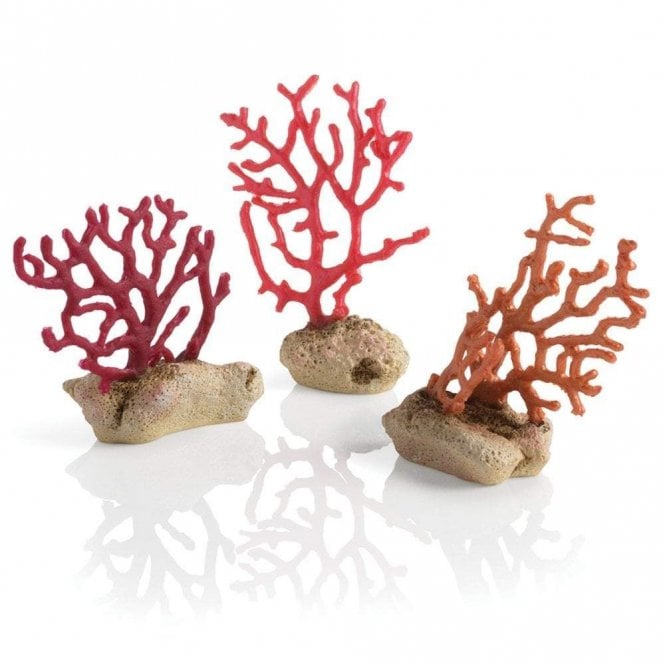 Oase - biOrb biOrb sea whips set