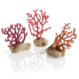 biOrb sea whips set