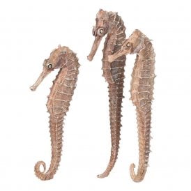 biOrb seahorse 3 pack natural