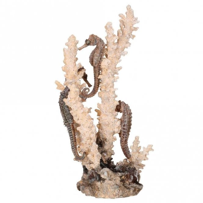 Oase - biOrb biOrb seahorses on coral natural M