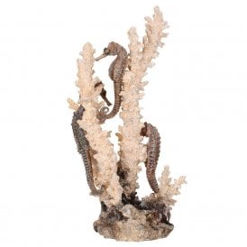 biOrb seahorses on coral natural M