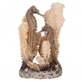 biOrb seahorses on coral natural S
