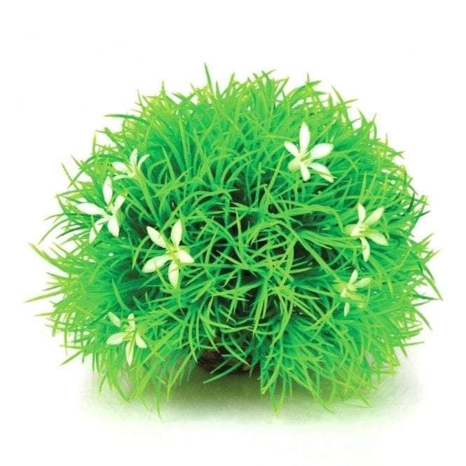 Oase - biOrb biOrb Topiary ball with daisies