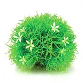 biOrb Topiary ball with daisies