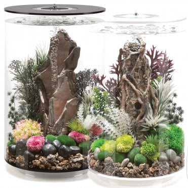biOrb TUBE 30 Aquarium with Multi Colour LED Light