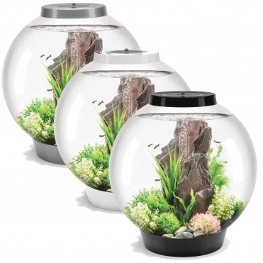 CLASSIC 60 Aquarium with Multi Colour LED Light