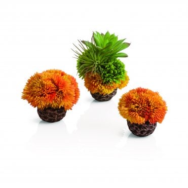 coral ball set orange